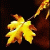 nontltesis_yunionAbig